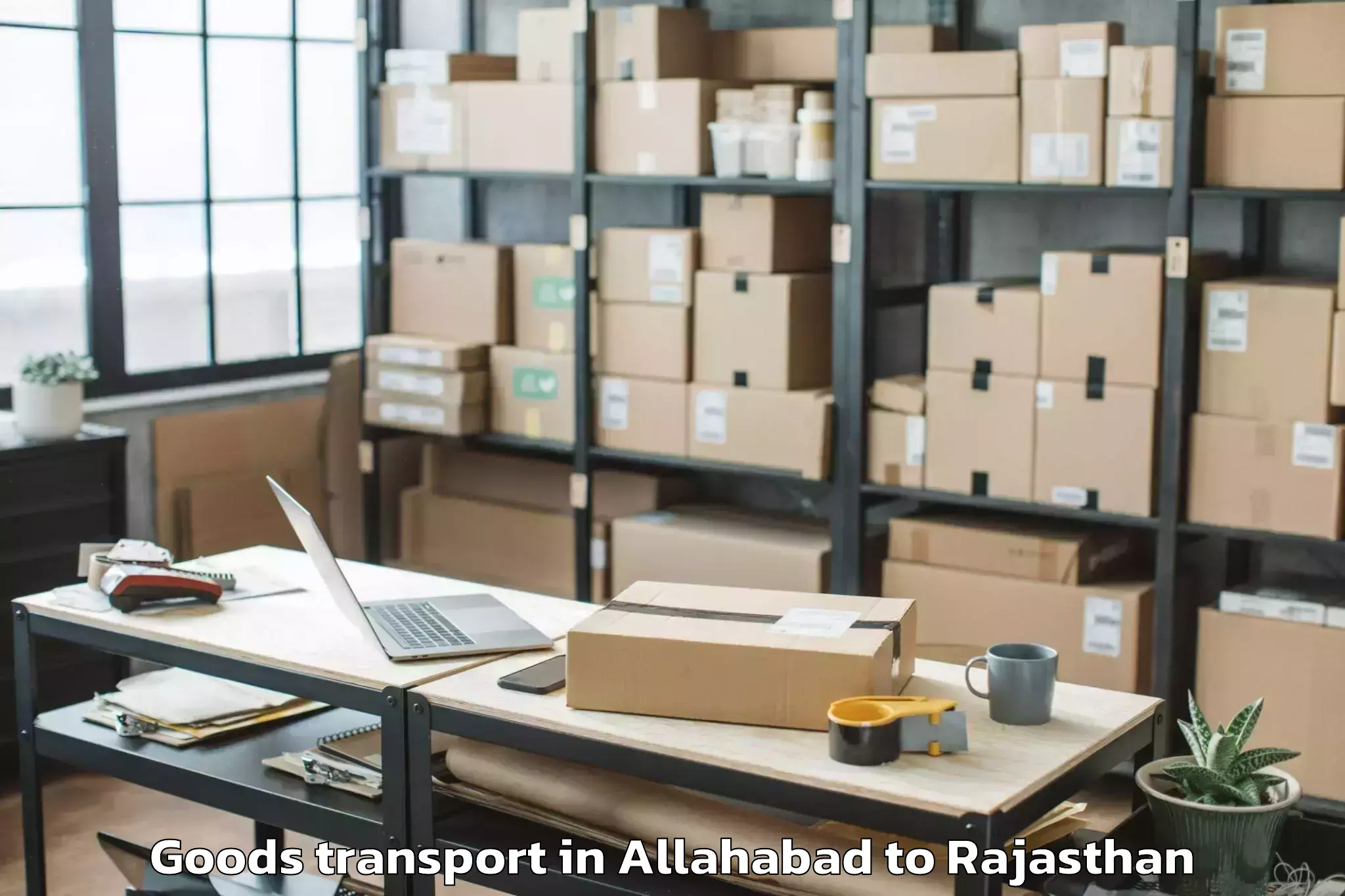 Professional Allahabad to Bhinmal Goods Transport